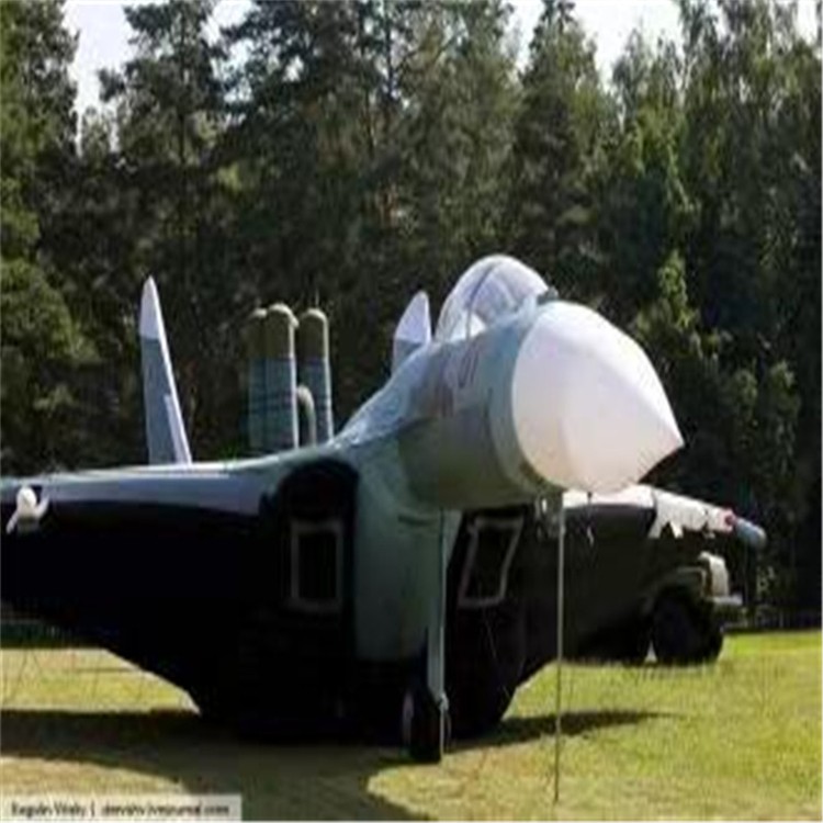瓮安充气模型飞机制造商家